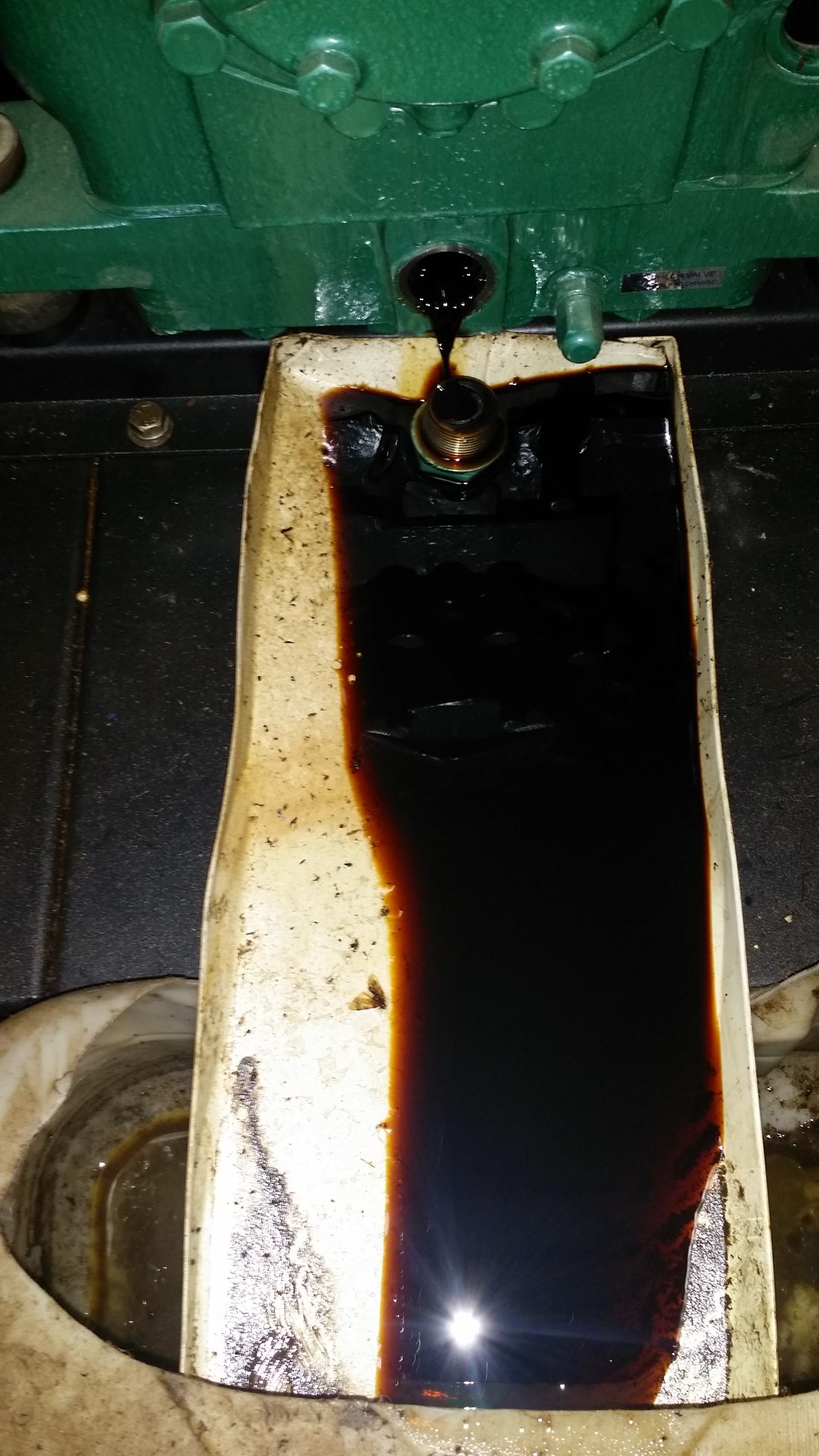 The oil that drained out. Healthy refrigeration oil is a clear amber —